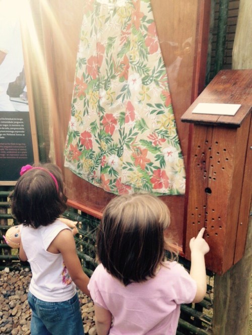 54463662ce82bd424a53818bdd65e4b9 (1)