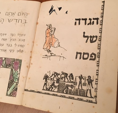 FullSizeRender (3).jpg