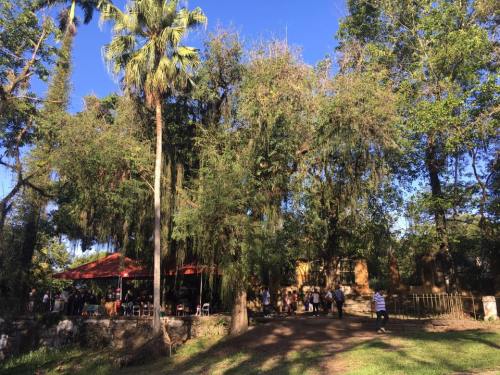 15109375_10209554510872495_1130277103345438780_n